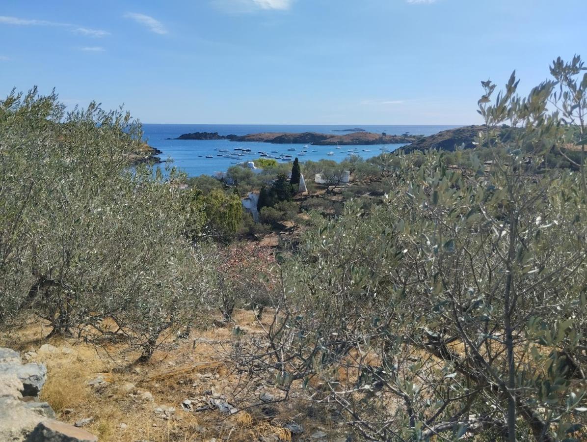Atico Of 3 Rooms, Total 130M² Just For You With A 60 M² Terrace, Swimming Pool, Mountain And Marina View. Roses Exteriér fotografie